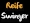 ReifeSwinger