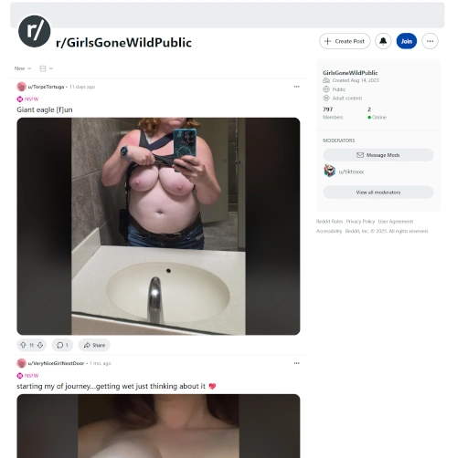 r/GoneWildPublic Review: Why This Subreddit Misses the Mark for Public Indecency Fans