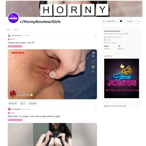 r/HornyAmateurGirls Review: A Solid Subreddit for Real Amateur Women Gone Wild