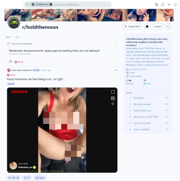 r/HoldTheMoan Review: Reddit’s Kinkiest Subreddit for Risky Public Sex